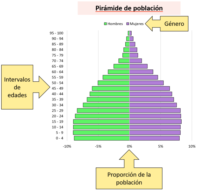 Descubre los tres tipos de pirámides de población: juvenil ...